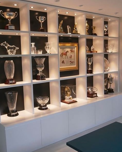 School Trophy Case
